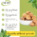 apricot 3.webp