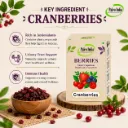 carnberryKI.webp