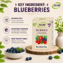 BlueberryKI.webp