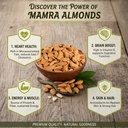 WhatsApp Image 2025-10-27 at 6.52.08 PM (2).jpeg