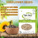 sunflower 2.webp